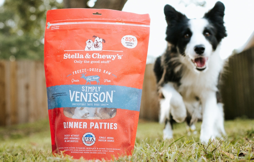 How to Read Dog & Cat Food Labels Stella & Chewy's