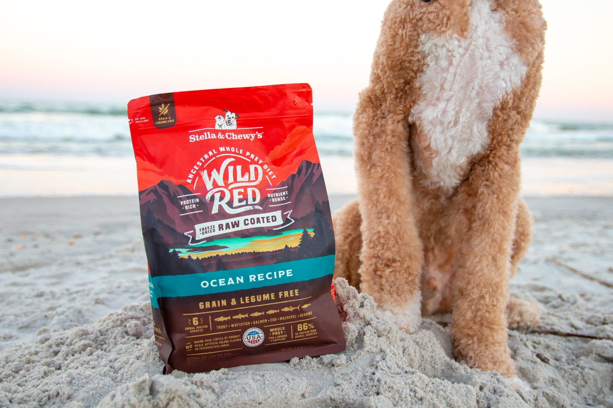 allergy dog food wellness Pet Wellness Scan Kit by Dr. Ruth Roberts (2025) main image 0