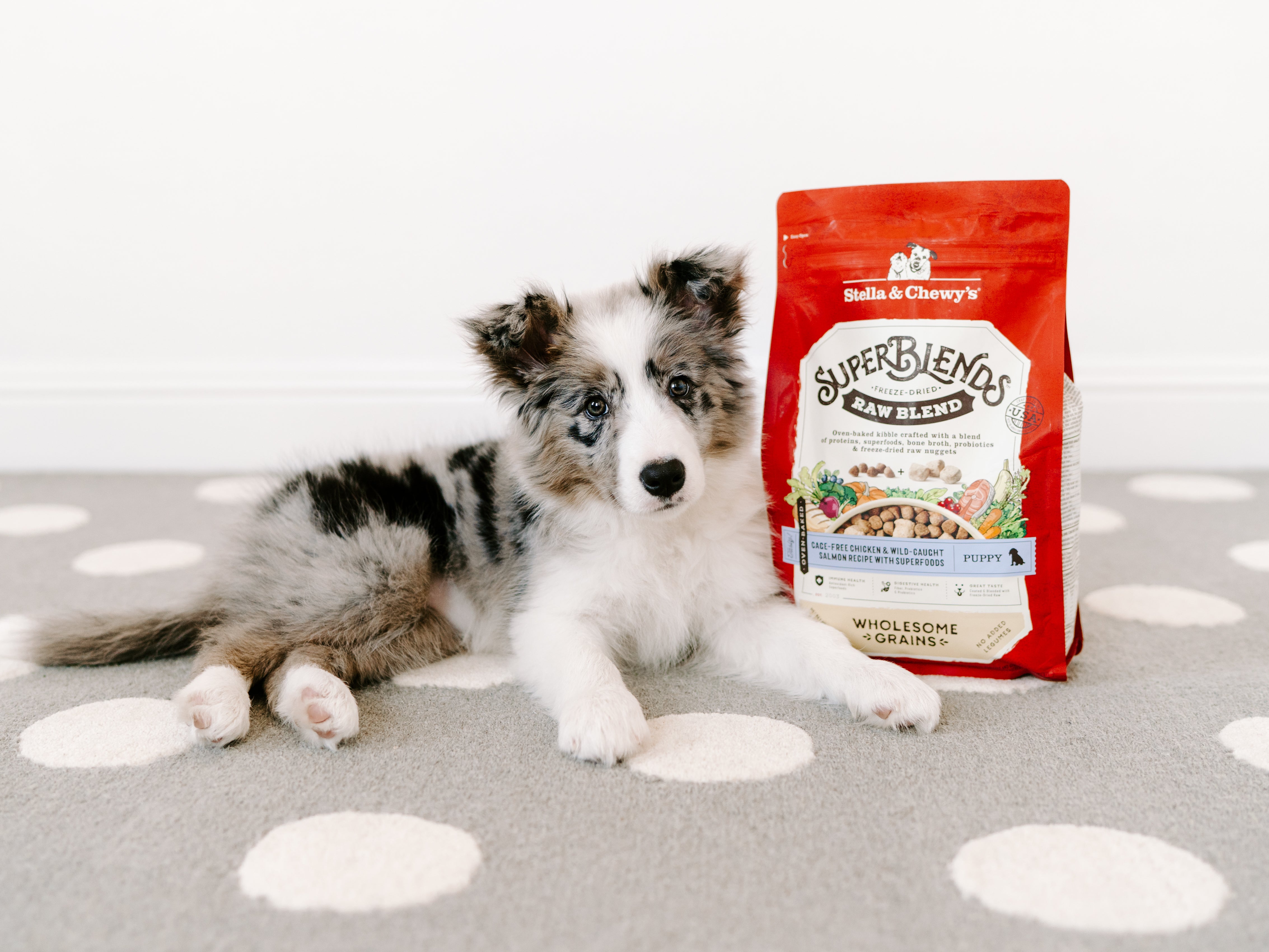 Puppy Food with Raw & Natural Ingredients