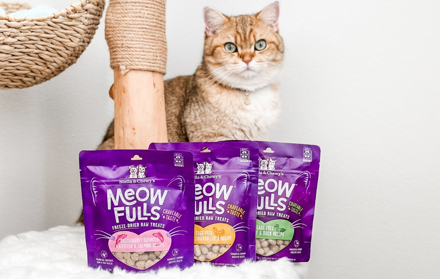 meowfulls-freeze-dried-raw-cat-treats-stella-chewy-s