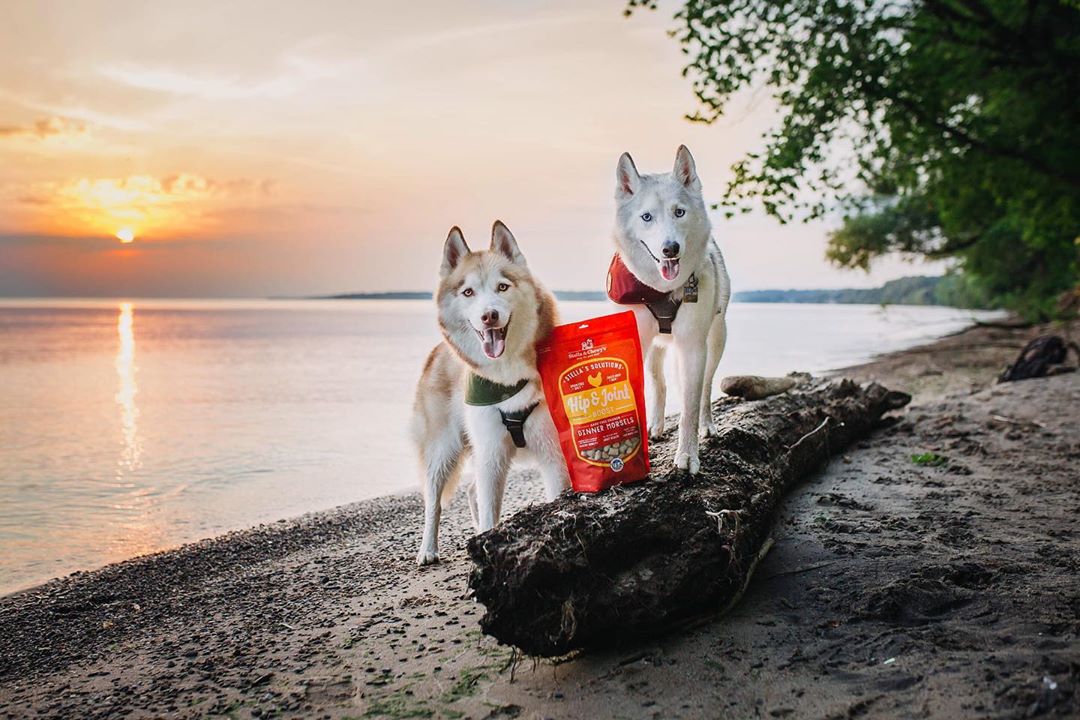 Stella & Chewy's