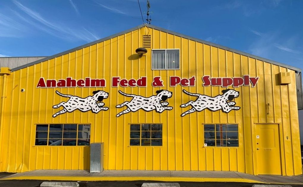 Anaheim Feed & Pet Supply Stella's Spotlight Stella & Chewy's