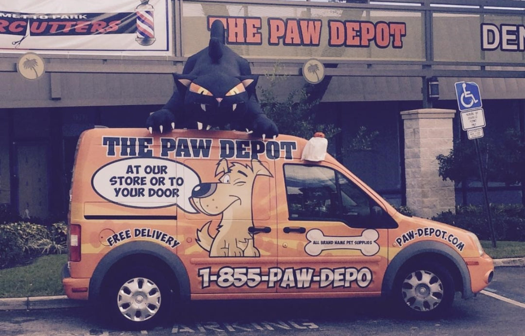 Stella's Spotlight The Paw Depot of Boca Raton Stella & Chewy's