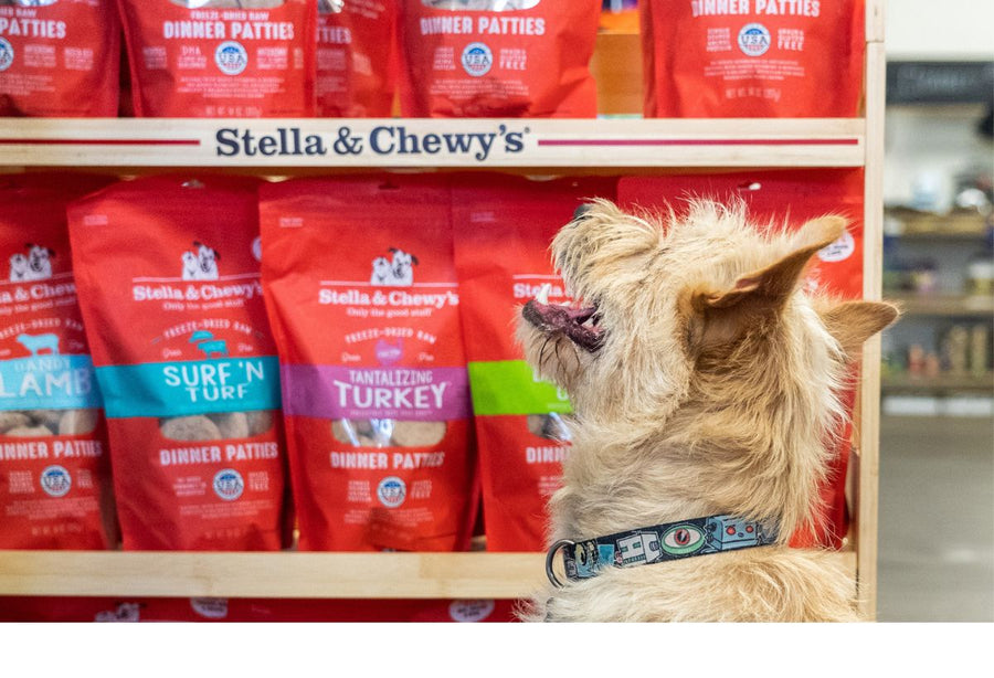 Stella And Chewy Dog Food Petsmart