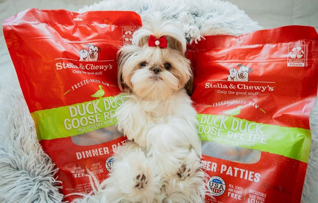 Novel Proteins in our Dog & Cat Foods Stella & Chewy's