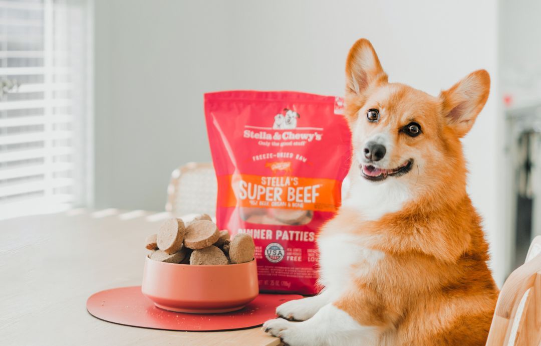 How Much to Feed Your Dog | Stella & Chewy's