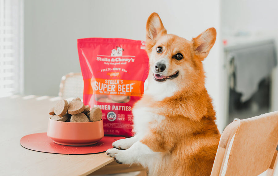 Best Dog Food for Picky Eaters | Irresistible Toppers - Sensitive Dog Food For Picky Eaters