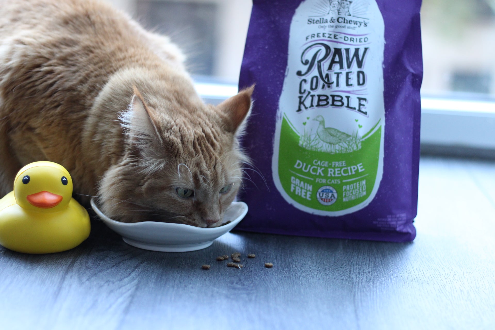 Duck Cat Food & Treats