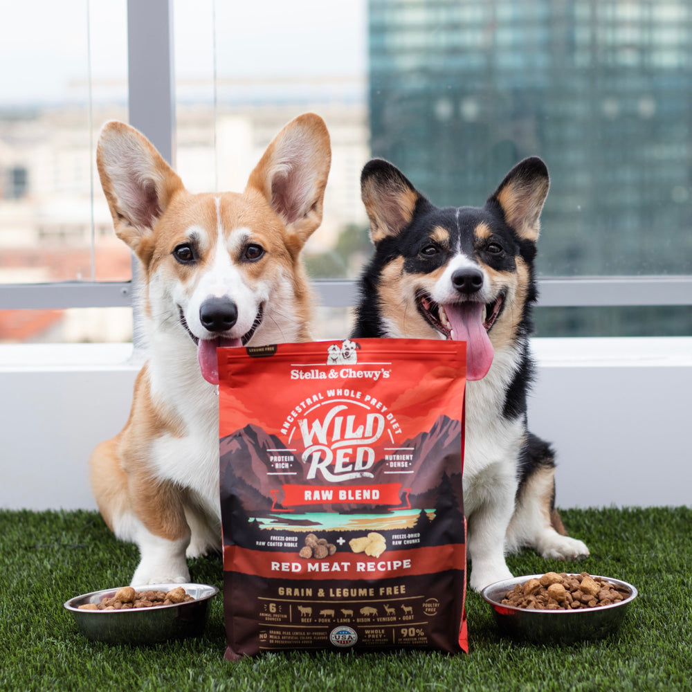 can you buy fromm dog food at petsmart Fromm Gold Puppy Dry Dog Food 5 lbs