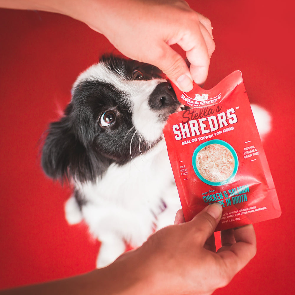 4 starr dog food fromm's Fromm Four-Star Salmon  La Veg Dry Dog Food  Animal Connection LLC