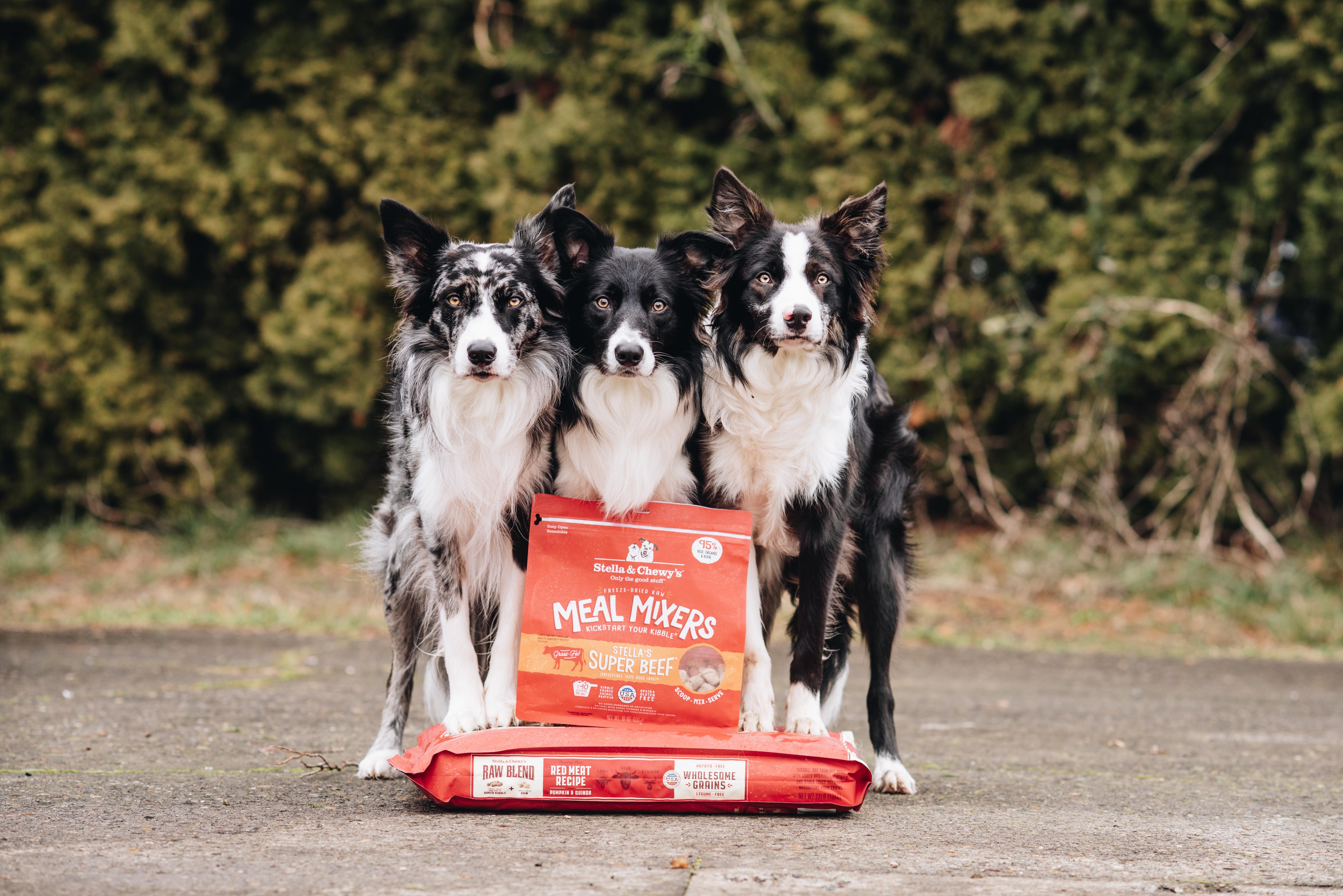 Dog Food With No Meat By-Products | Stella & Chewy's