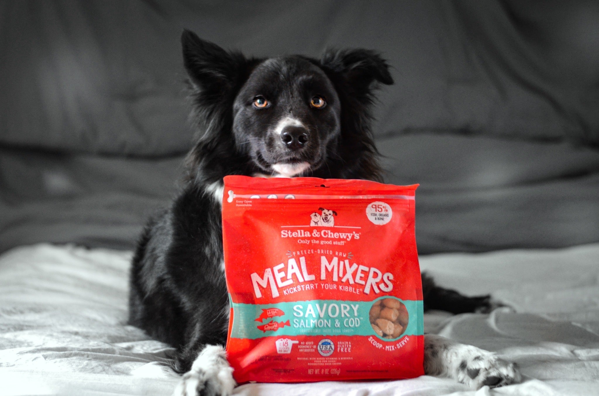 Chicken Free Dog Puppy Food chicken-free-dog-puppy-food