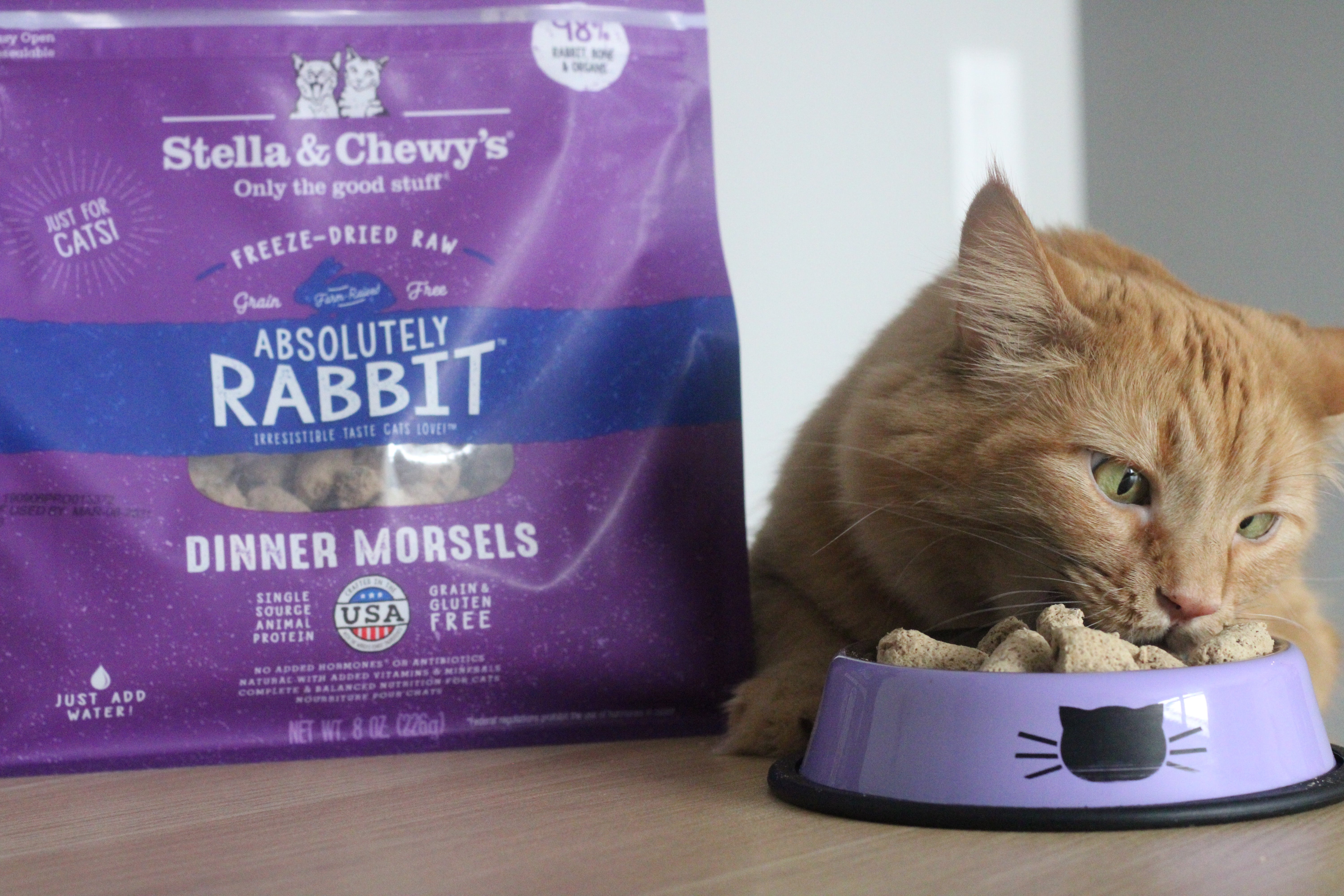 Chicken-Free Cat Food & Treats