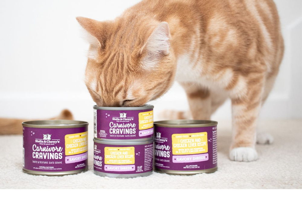 Wet Cat Food with Natural, Grain-Free Ingredients | Stella & Chewy's