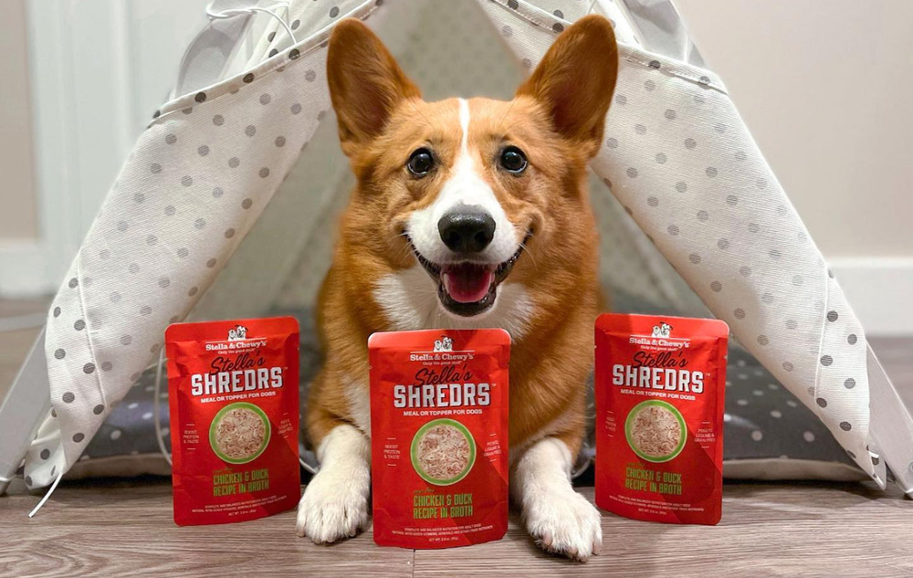 pure balance dog food for puppies Pure Balance Pro+ Puppy Chicken & Rice Recipe Dry Dog Food for Puppies —  Custom Treats main image 1