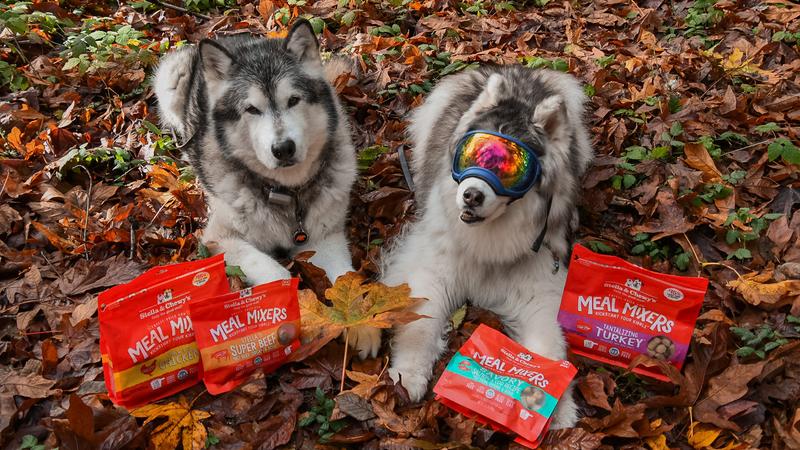 Legume-Free Dog Food