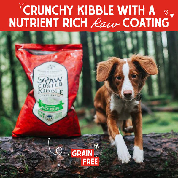 Raw Coated Grain Free Dog Food: Cage-Free Duck Recipe - Protein Rich ... - Grain Free Dog Kibble With Duck And Turkey