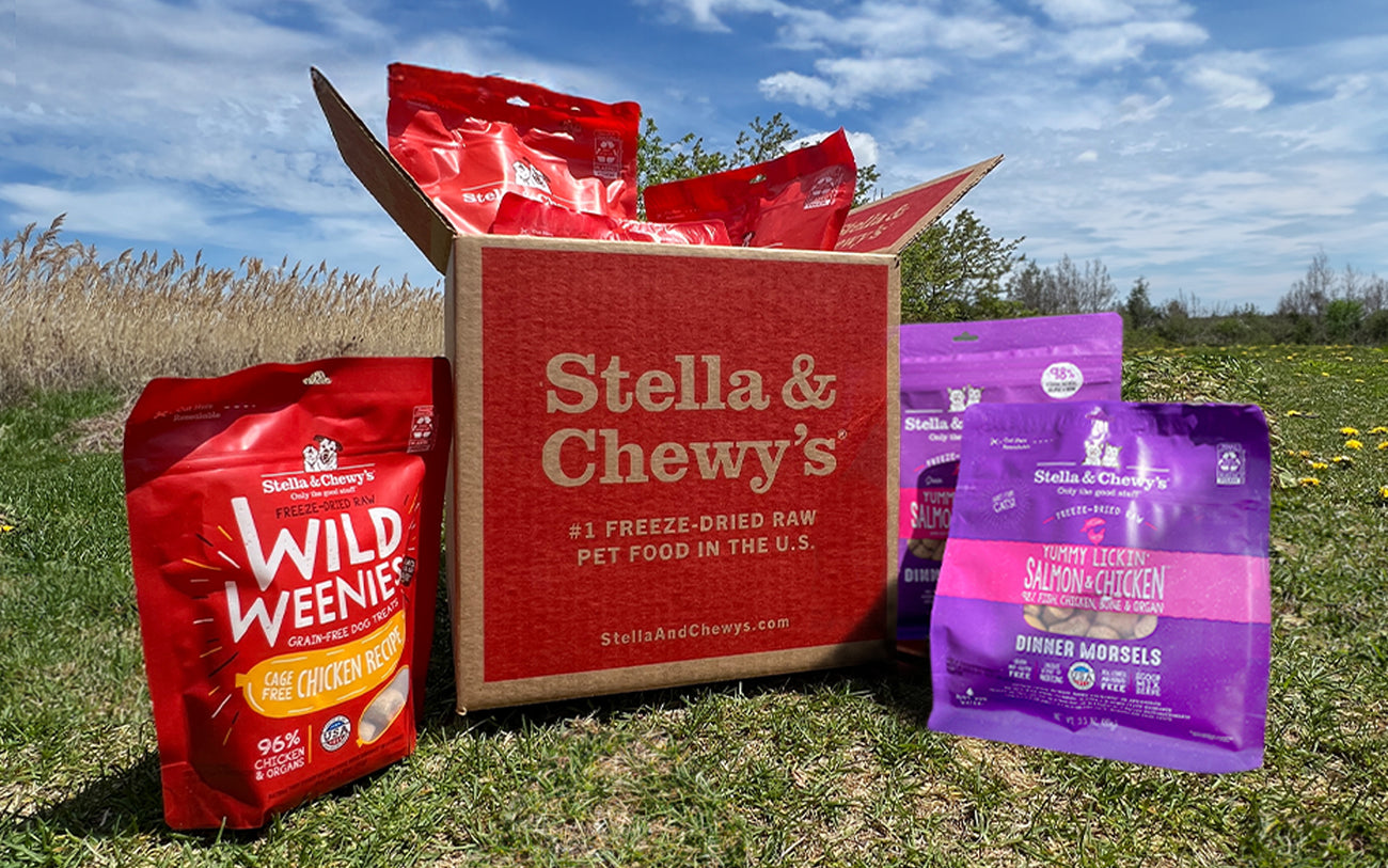 Dog & Cat Food Subscriptions | Stella & Chewy's