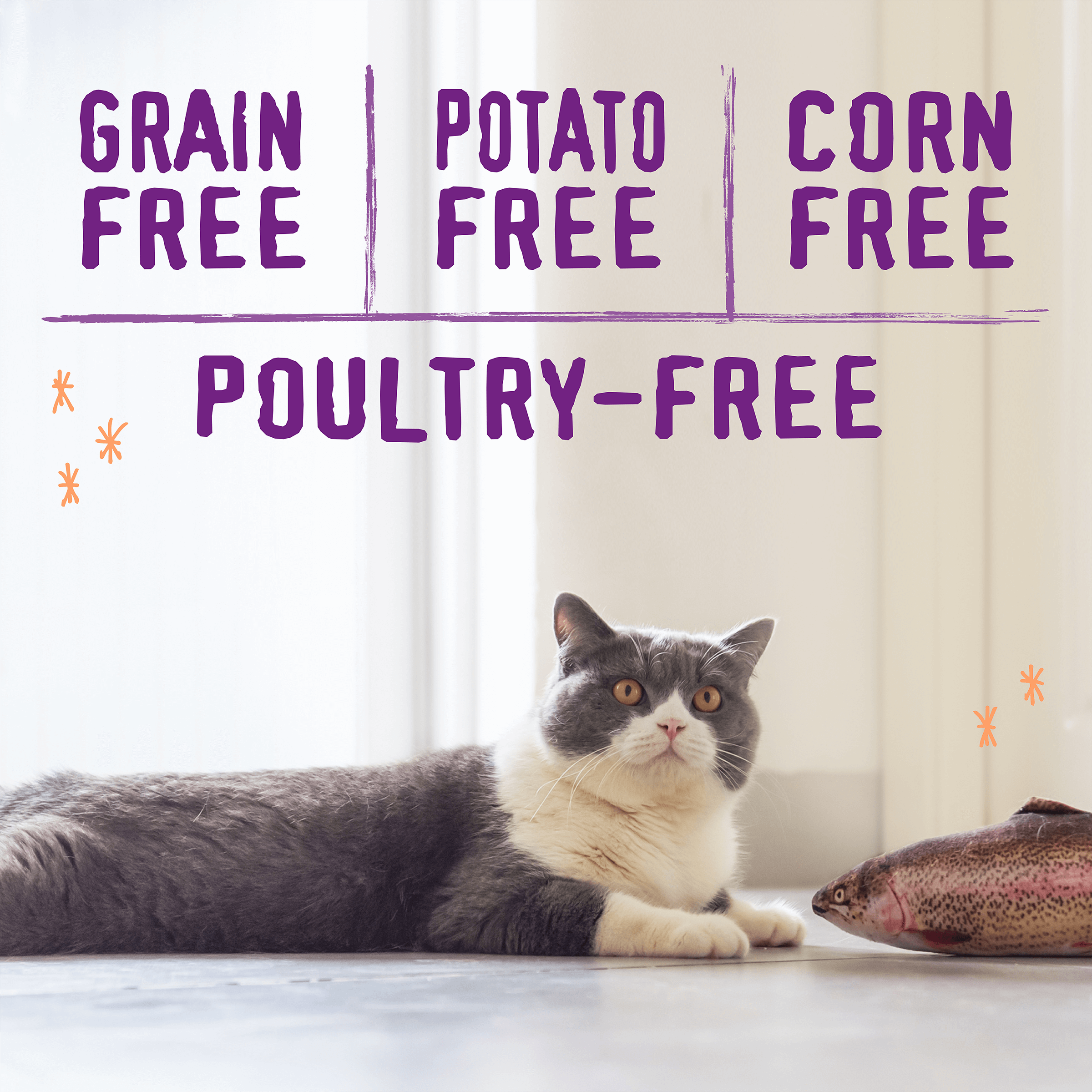 Raw Blend Cat Kibble: Wild-Caught Salmon, Cod & Tuna Recipe - Grain ...