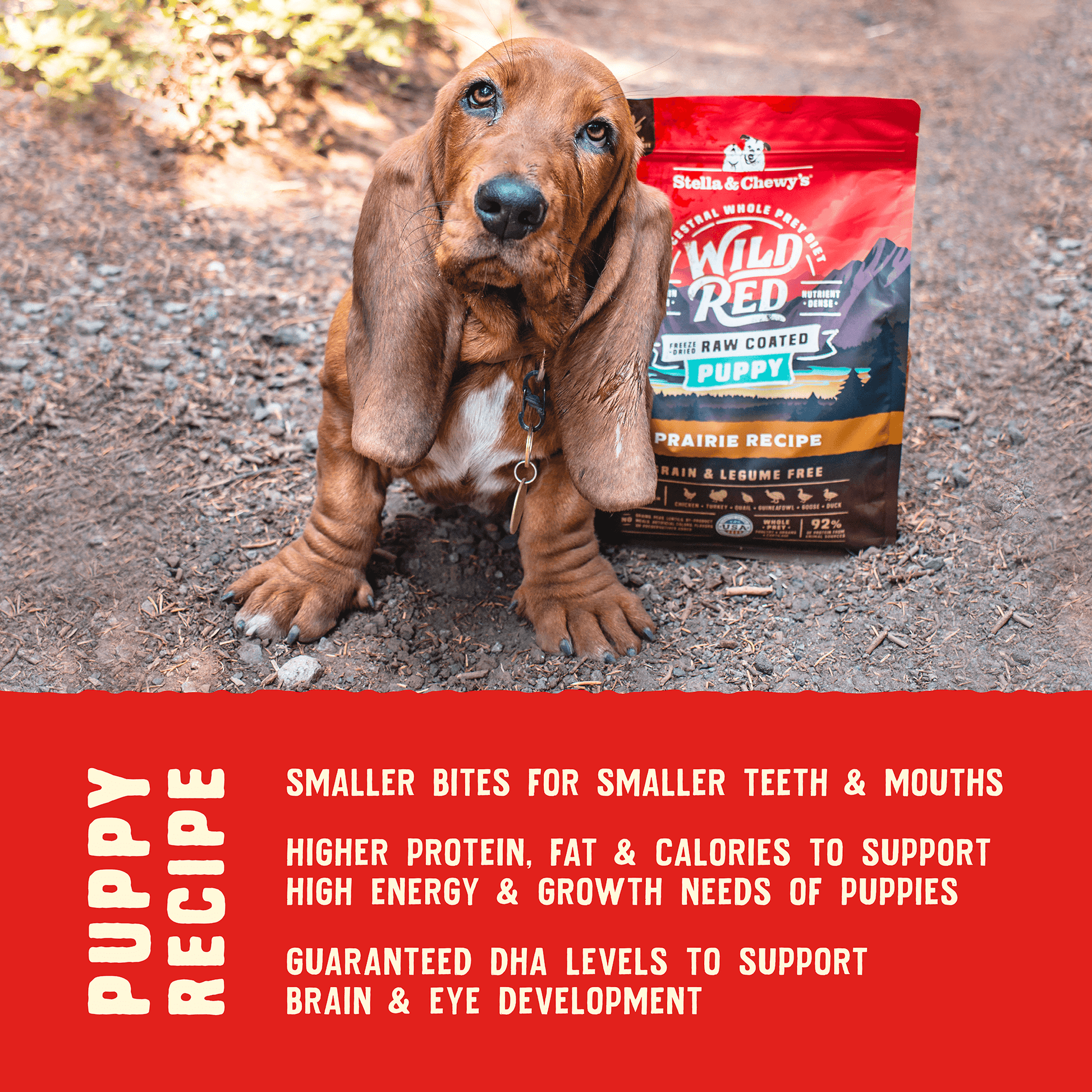 Puppy food without chicken meal online