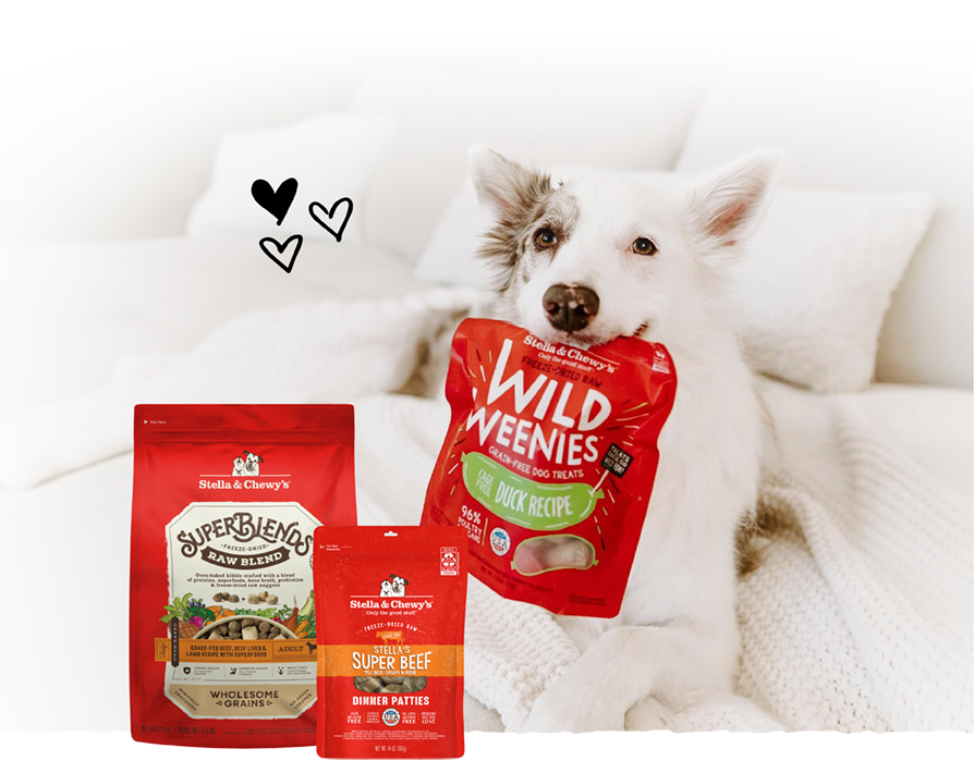 Chewy dog food online deals