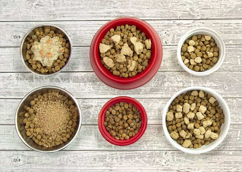 Meal Topper Options For Your Dog