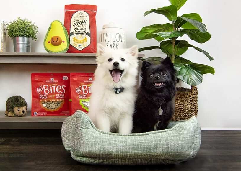 Dog Food Options Ideal For Small Dog Breeds