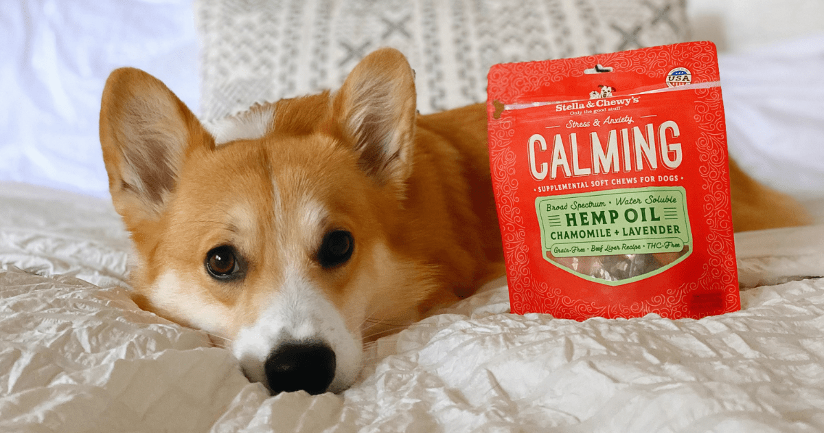 chewy cbd oil for dogs