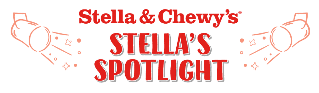 Graphic of text that says Stella & Chewy's Stella's Spotlight with illustrations of spotlights