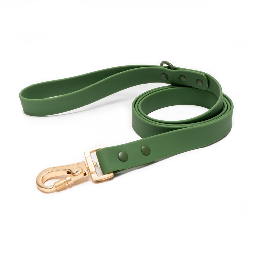 Lucy & Co Everyday PVC Leash - Pine