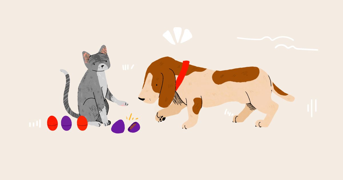 How to do an Easter egg hunt for dogs