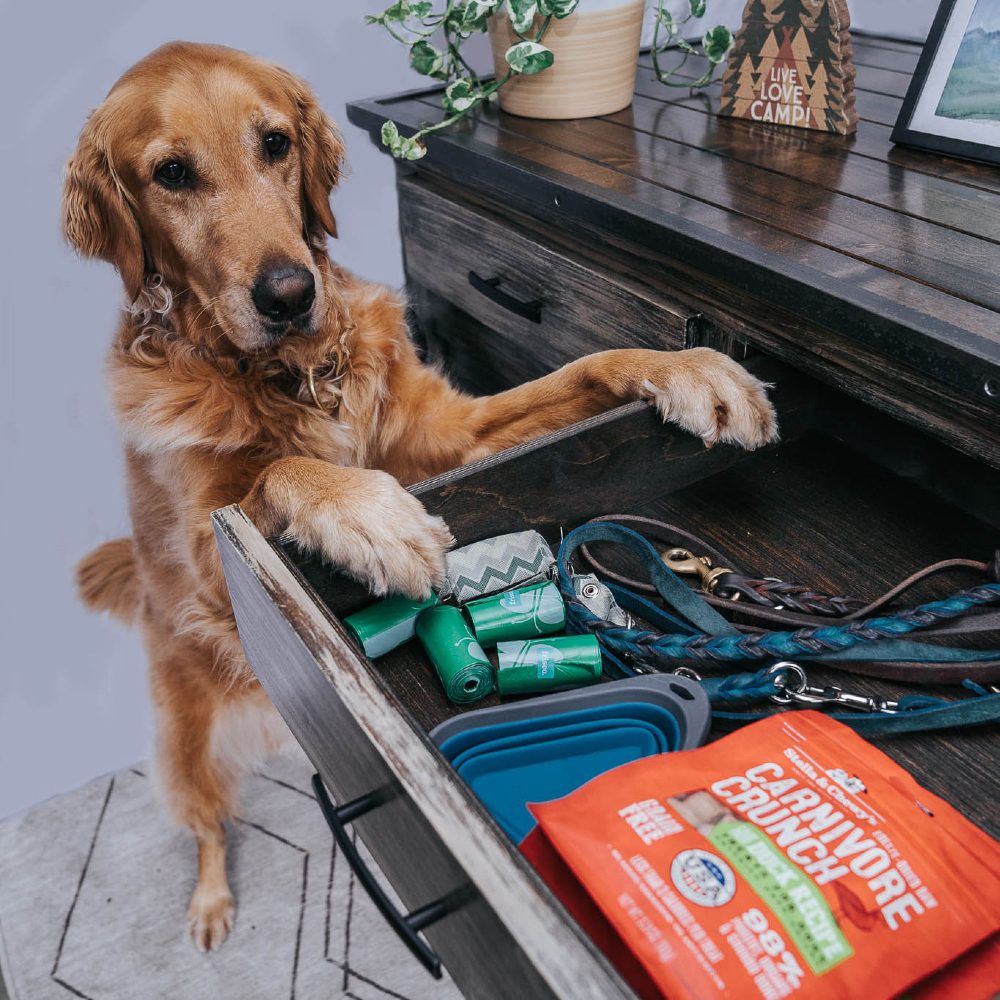 Golden retriever standing with paws in cabinet drawer filled with leashes, poop bags and treats