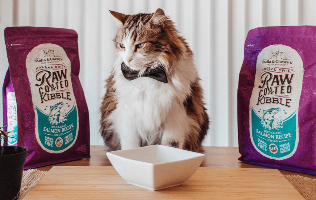 Stella & Chewy's Introduces Cat Kibble To The Market