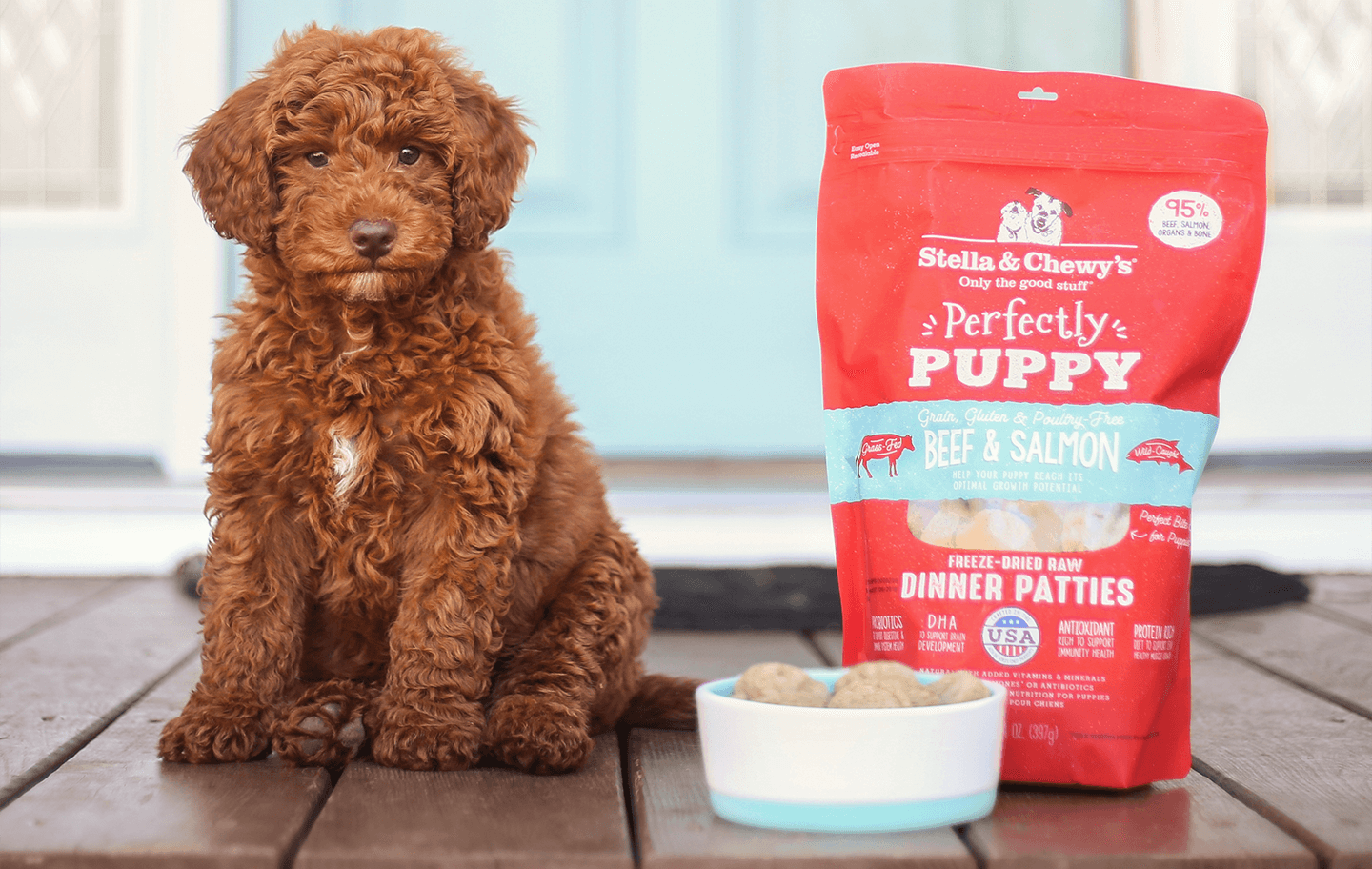 Natural Dog Food for Puppies: Raw & More
