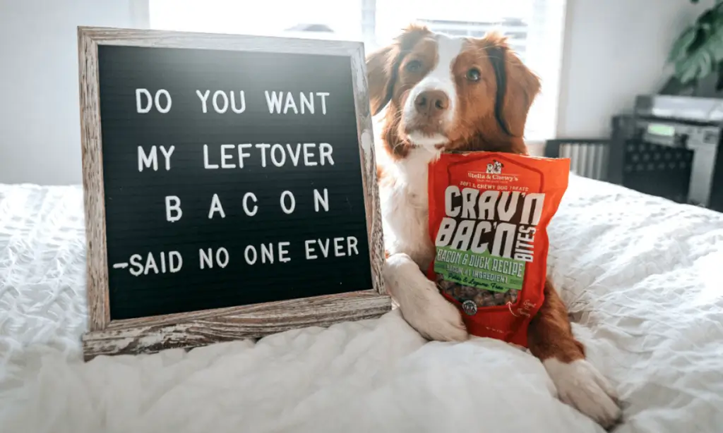Stella & Chewy’s Introduces Bacon, Bacon, Bacon to Dog Products