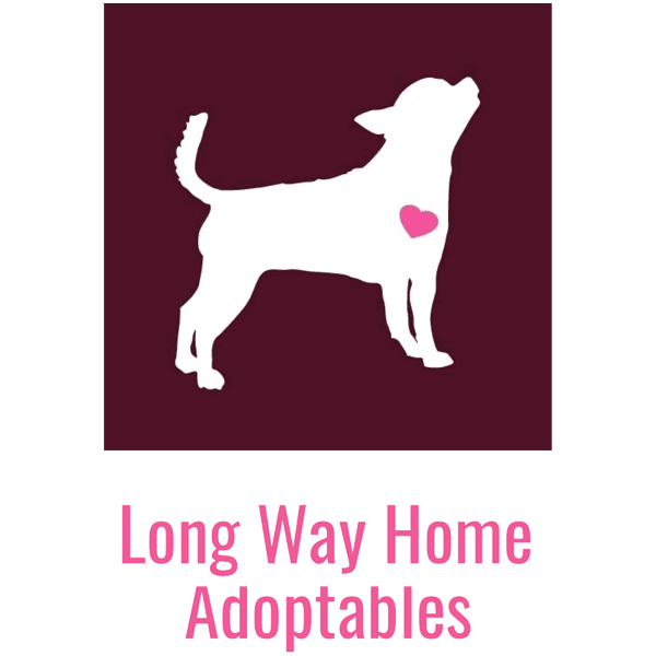 Long Way From Home Adoptables