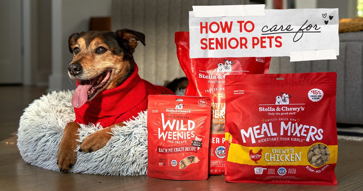CARING FOR SENIOR PETS