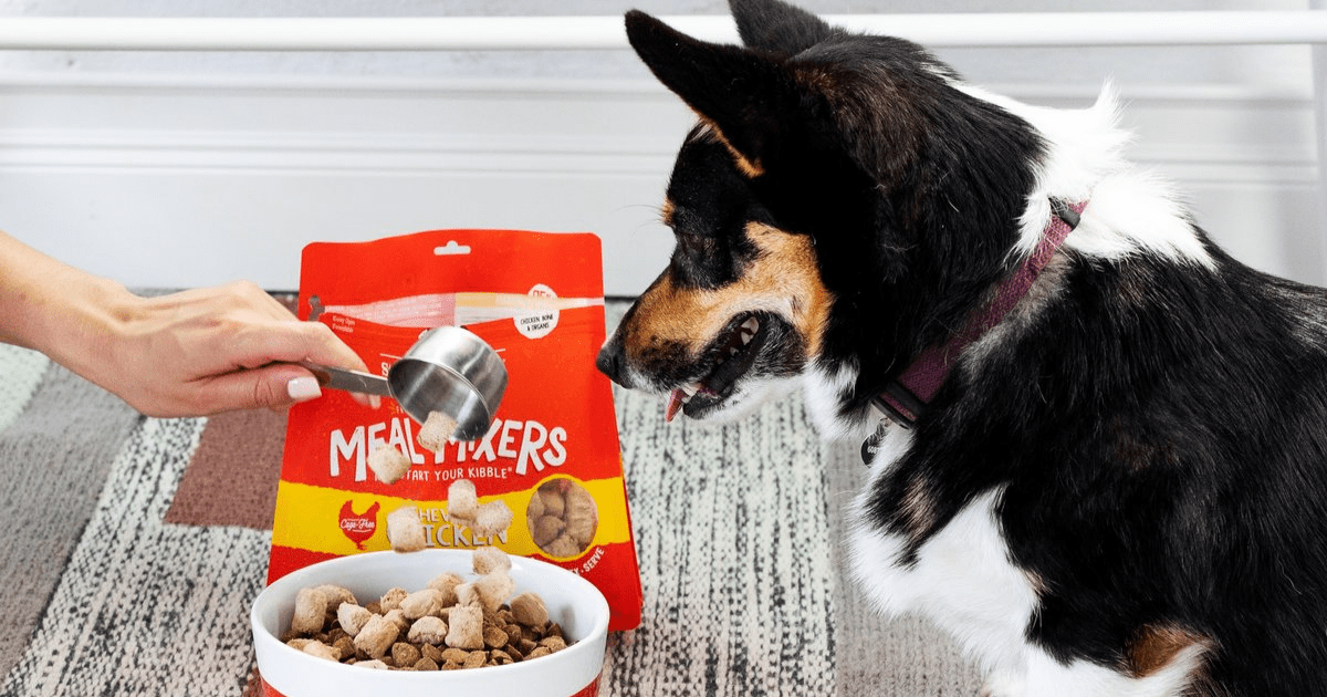 Add the Benefits of Raw to Your Pet's Diet