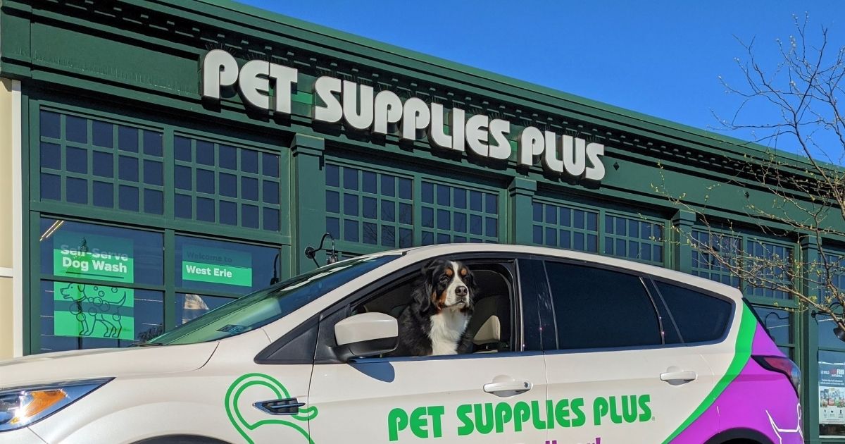 Stella's Spotlight: Pet Supplies Plus