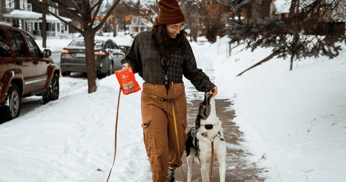 When Is It Too Cold To Walk Your Dog?