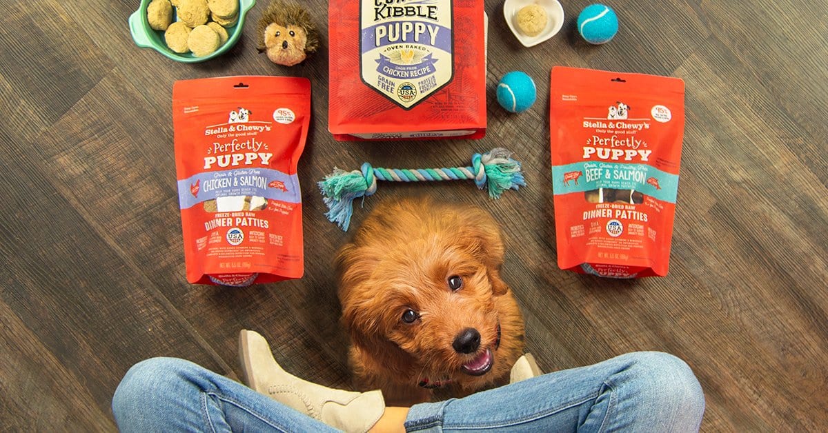 New Puppy Essentials: A Checklist of 8 Puppy Products You Need