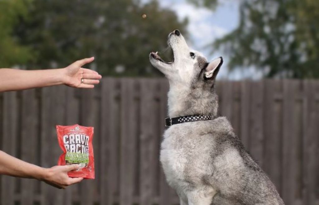 husky catching a low calorie treat