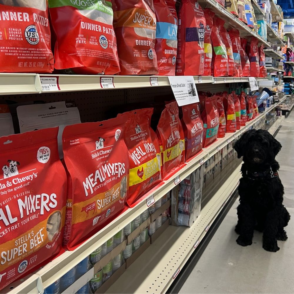 black dog at Weber's Pet Supermarket