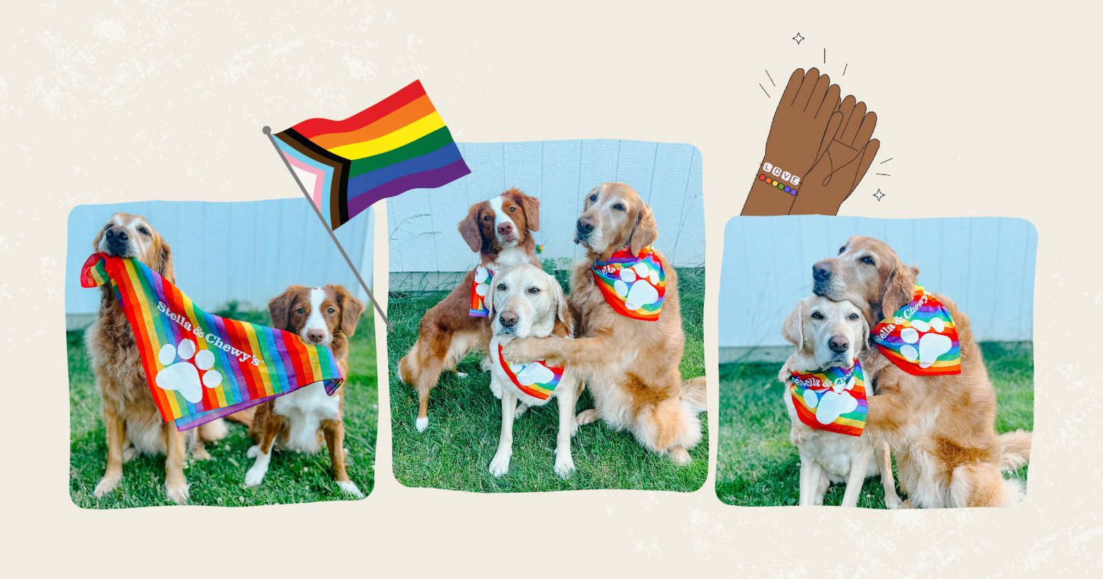 How Pet Parents Can Celebrate Pride
