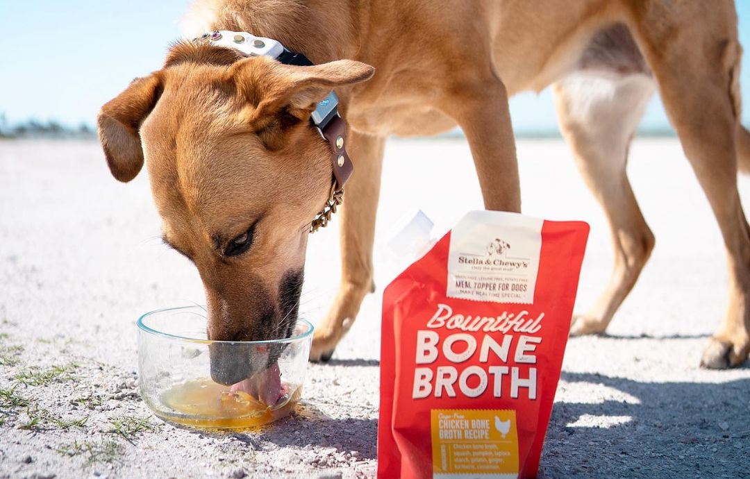 How to Hydrate Your Dog With a Healthy Diet