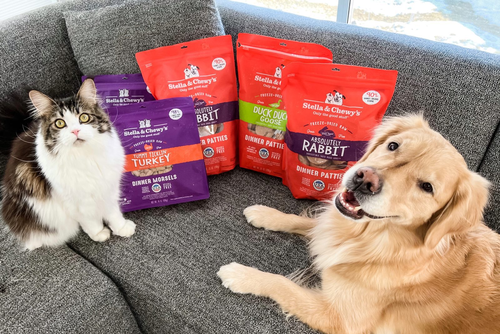 Why Raw Pet Food?