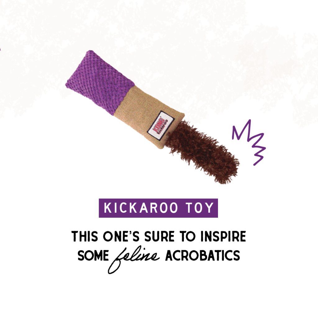 Kickaroo Toy | This one's sure to inspire some feline acrobatics