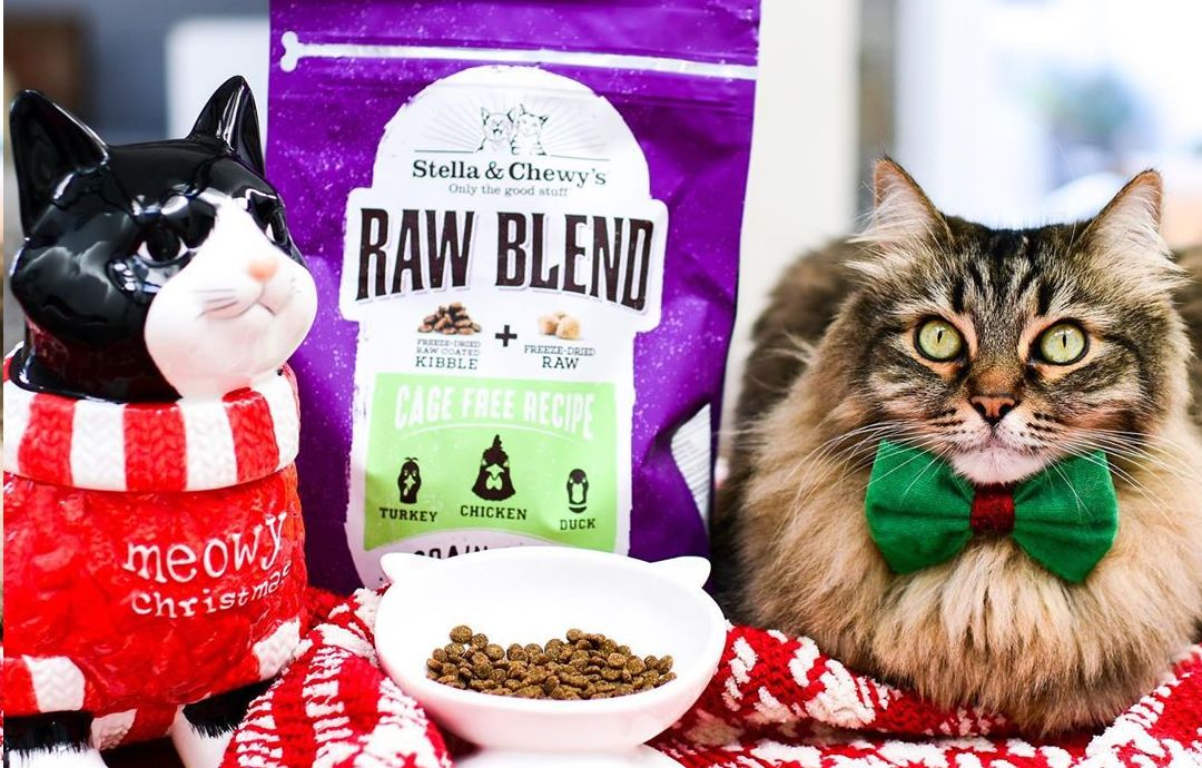 10 Purrfect Holiday Gifts For Your Cat