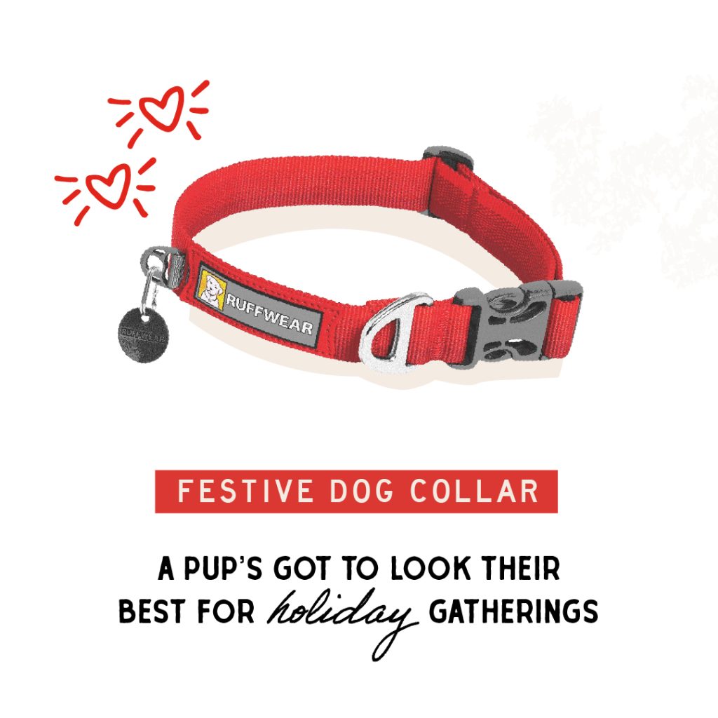red dog collar dog gift guide