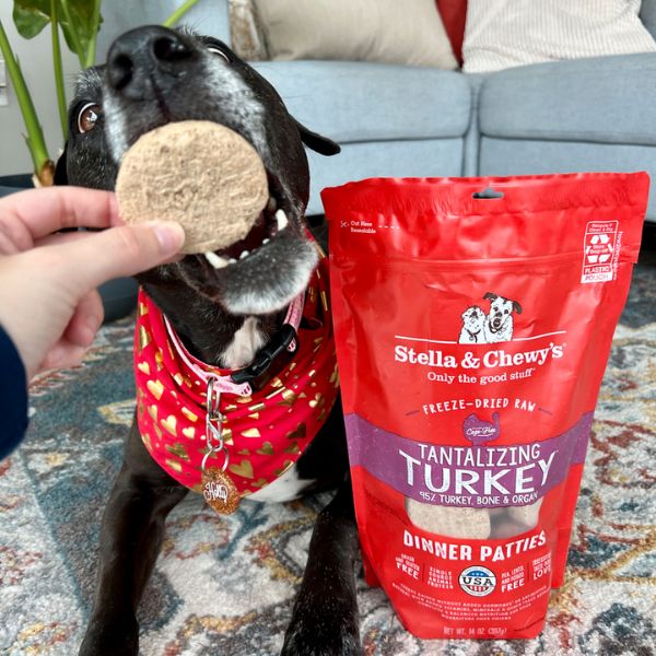 can mutts eat turkey?